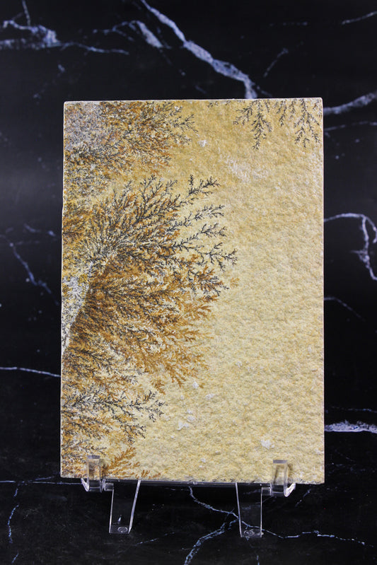 Dendritic Sandstone #3