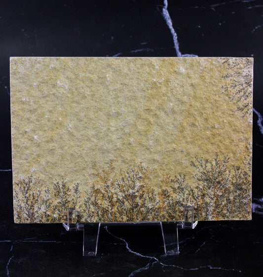 Dendritic Sandstone #3