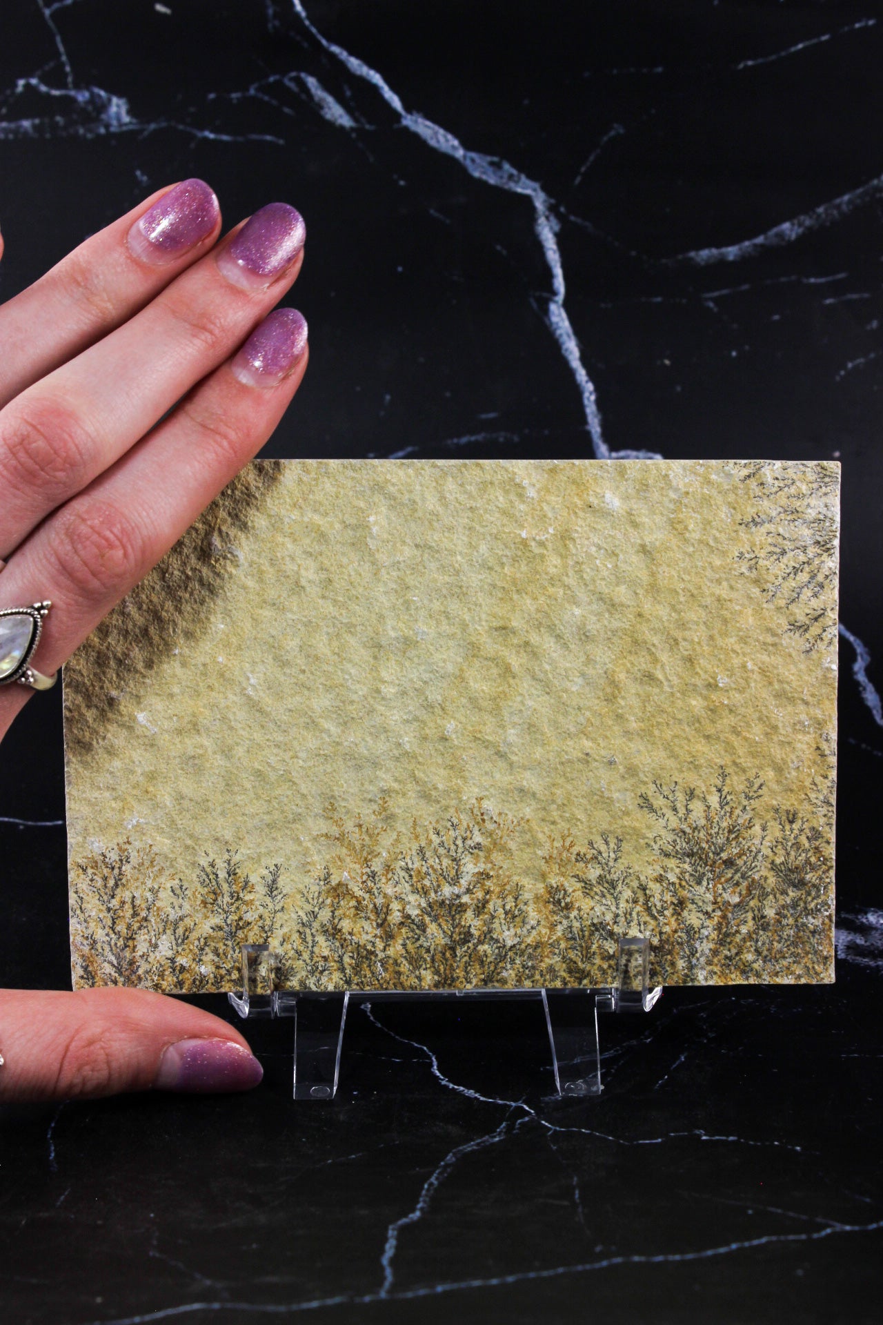 Dendritic Sandstone #3