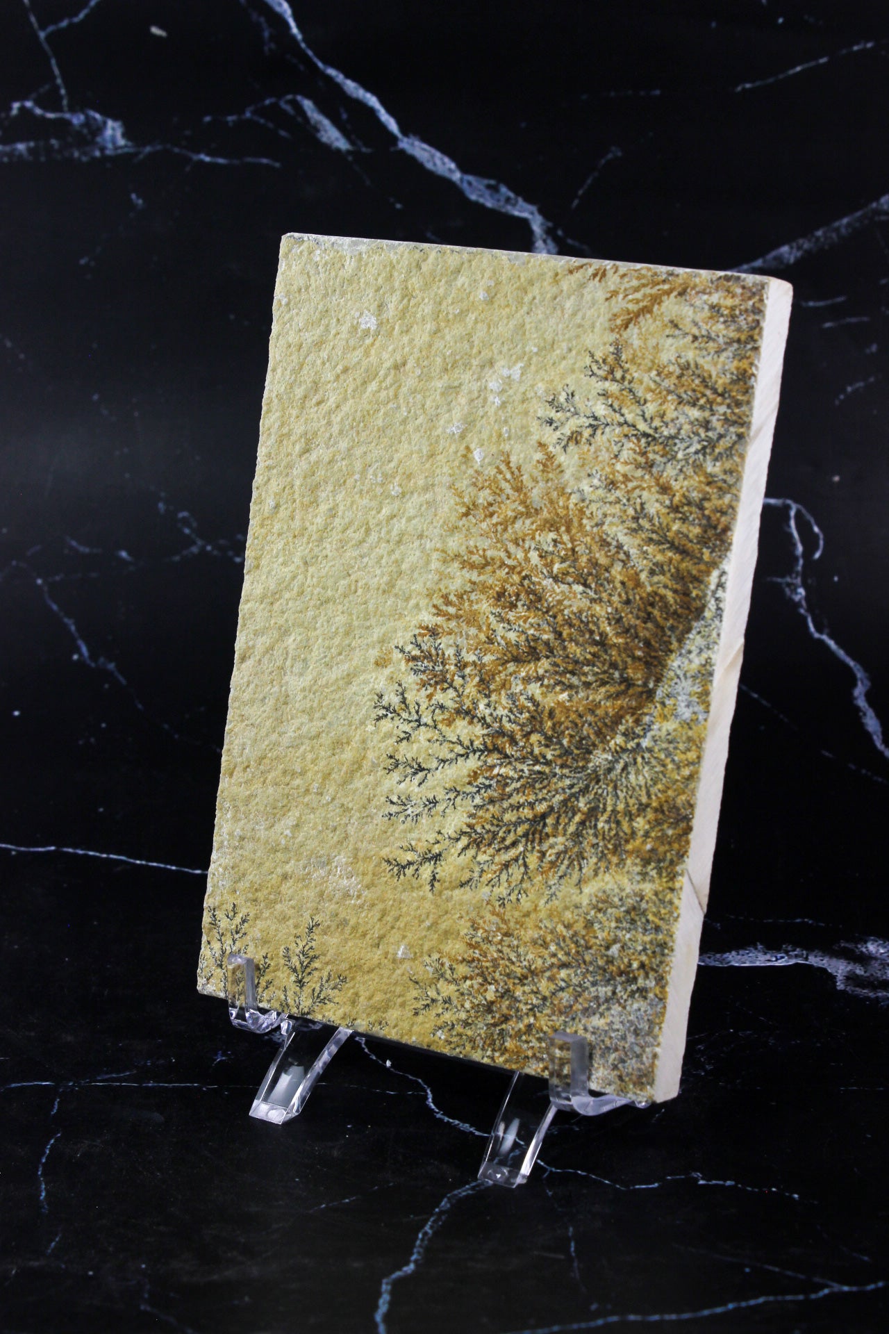 Dendritic Sandstone #3