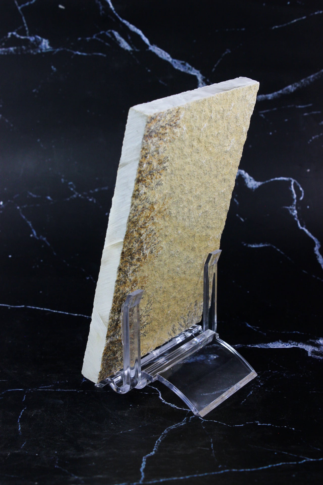 Dendritic Sandstone #3