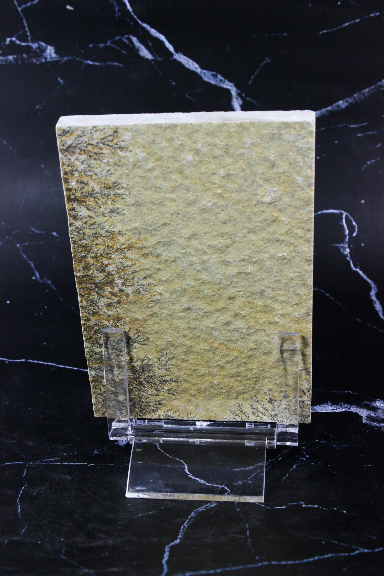 Dendritic Sandstone #3