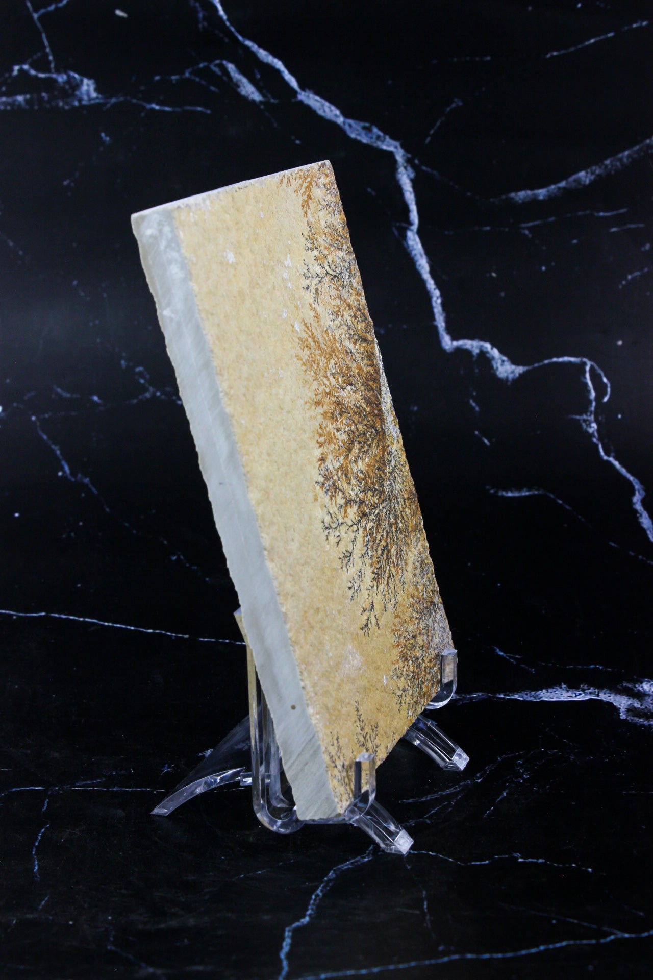 Dendritic Sandstone #3