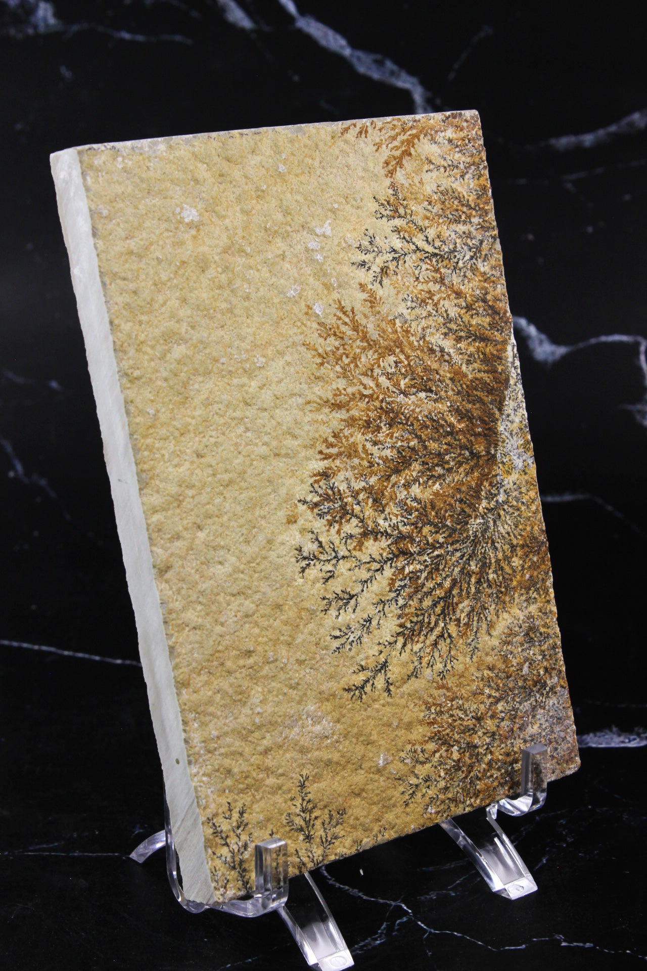 Dendritic Sandstone #3
