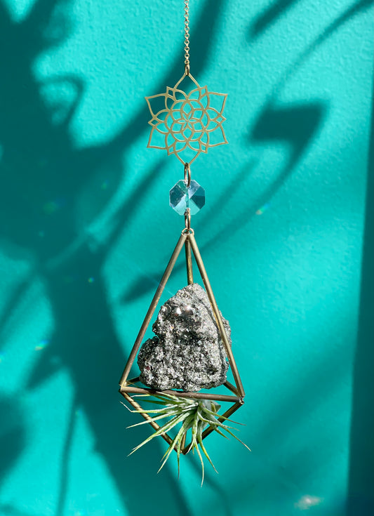 Pyrite Air Plant Sun Catcher
