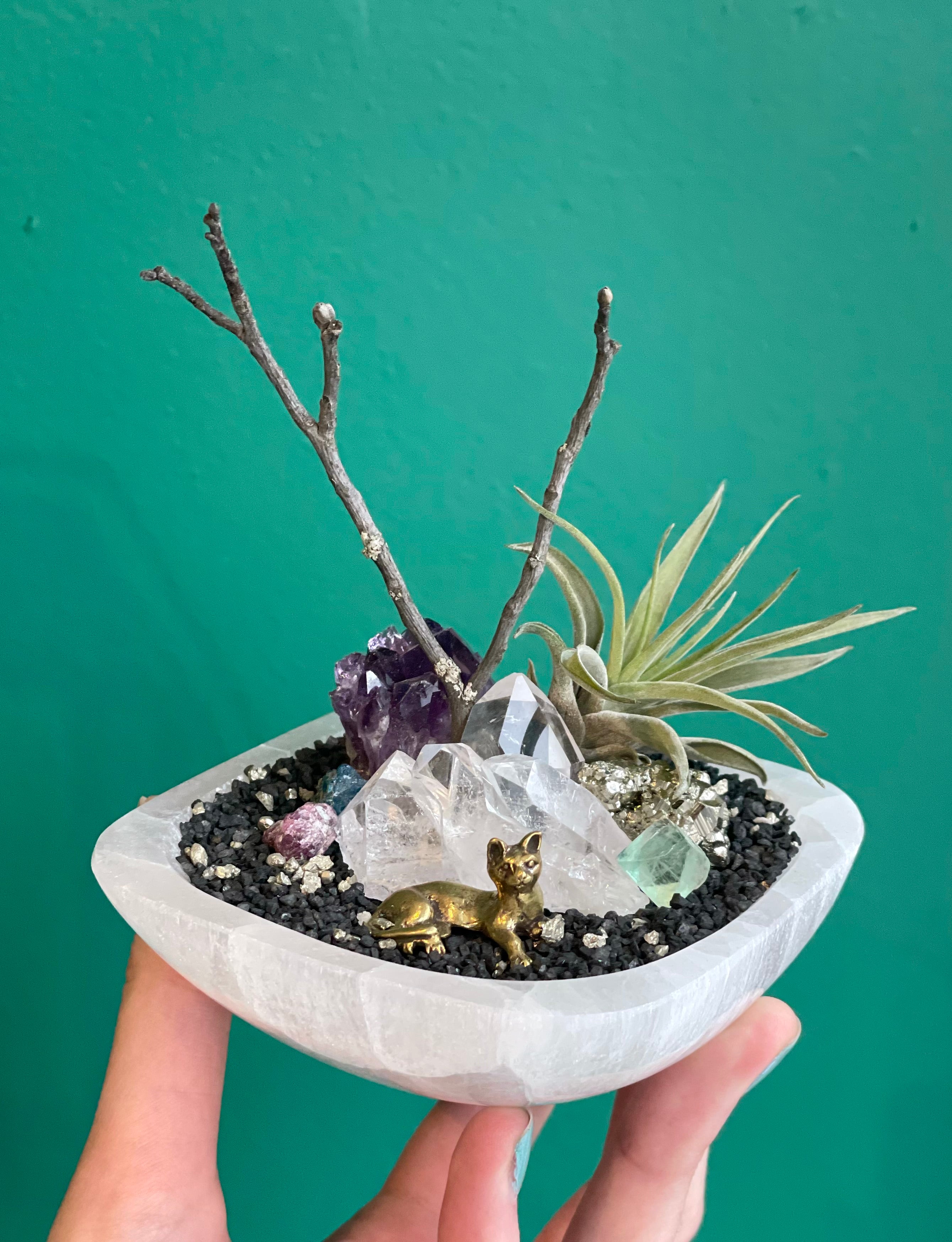 air plant on crystal Large Crystal Rock Garden – Annick Designs