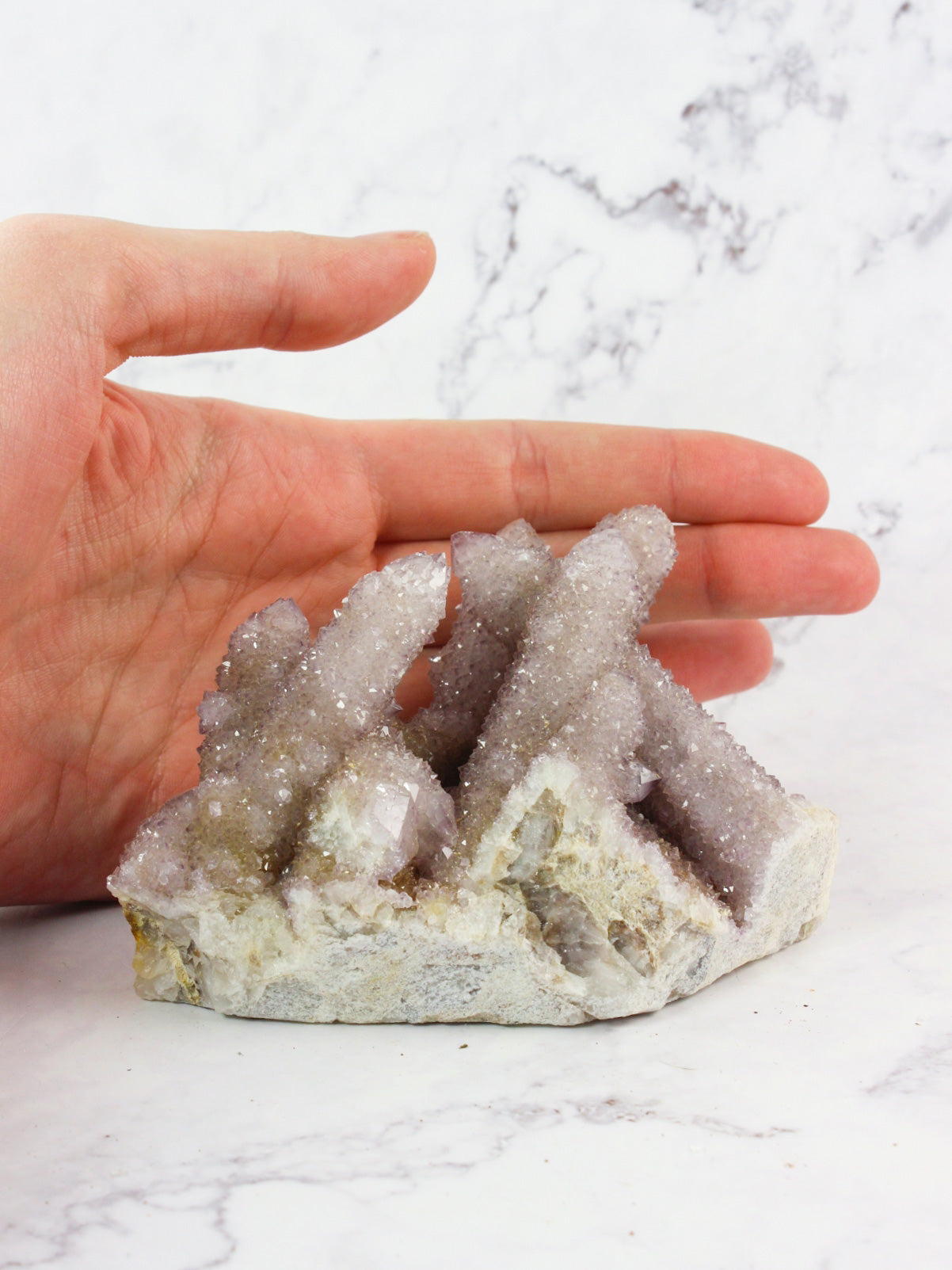 Cactus Amethyst Specimen