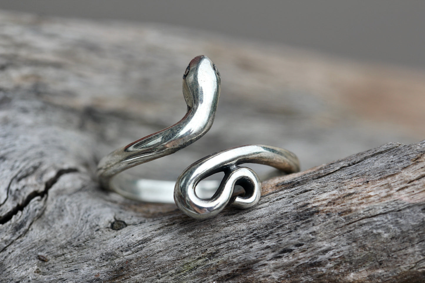Silver Snake Ring