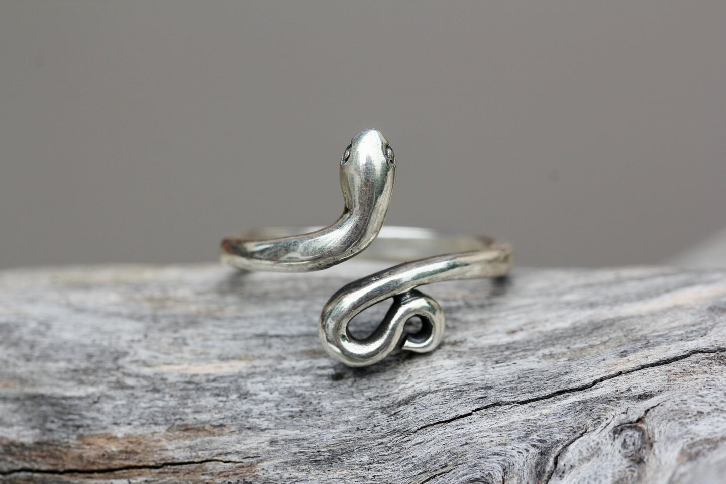 Silver Snake Ring