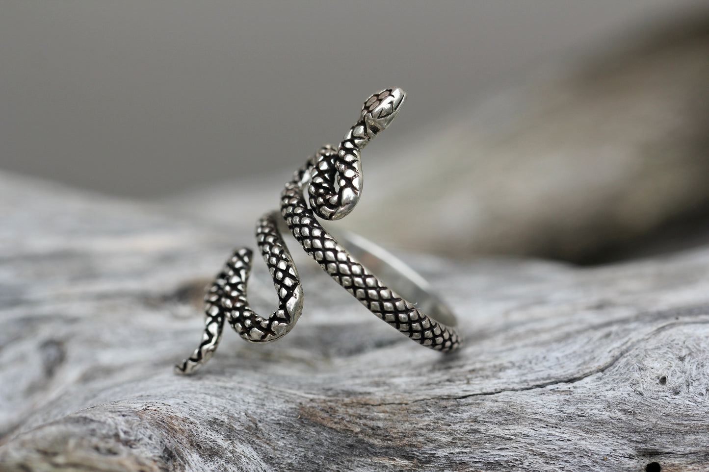 Textured Silver Snake Ring