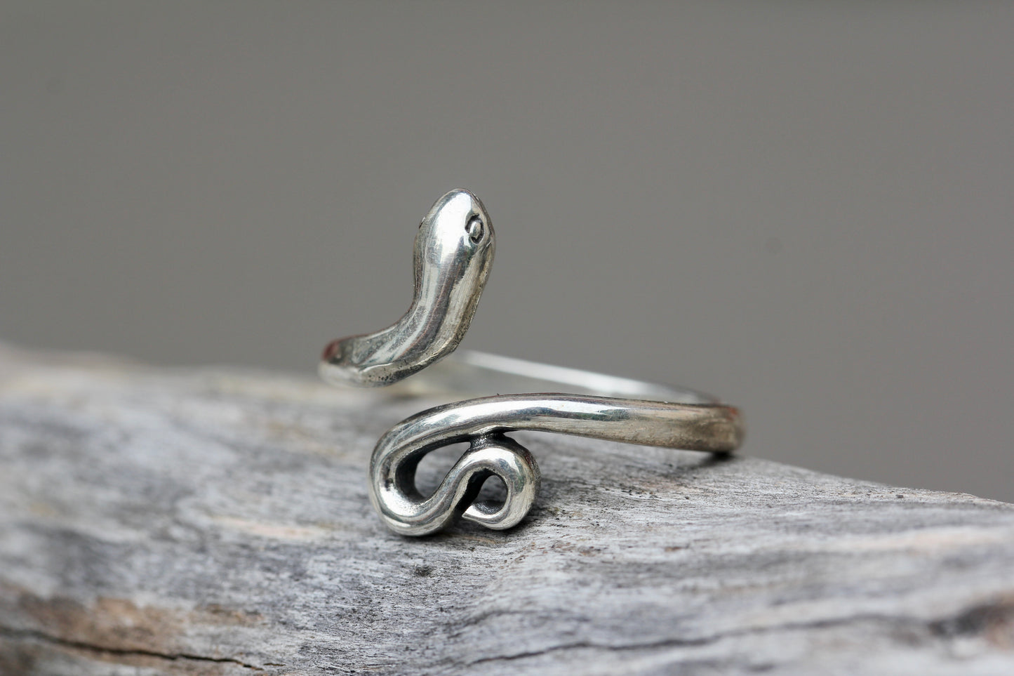 Silver Snake Ring