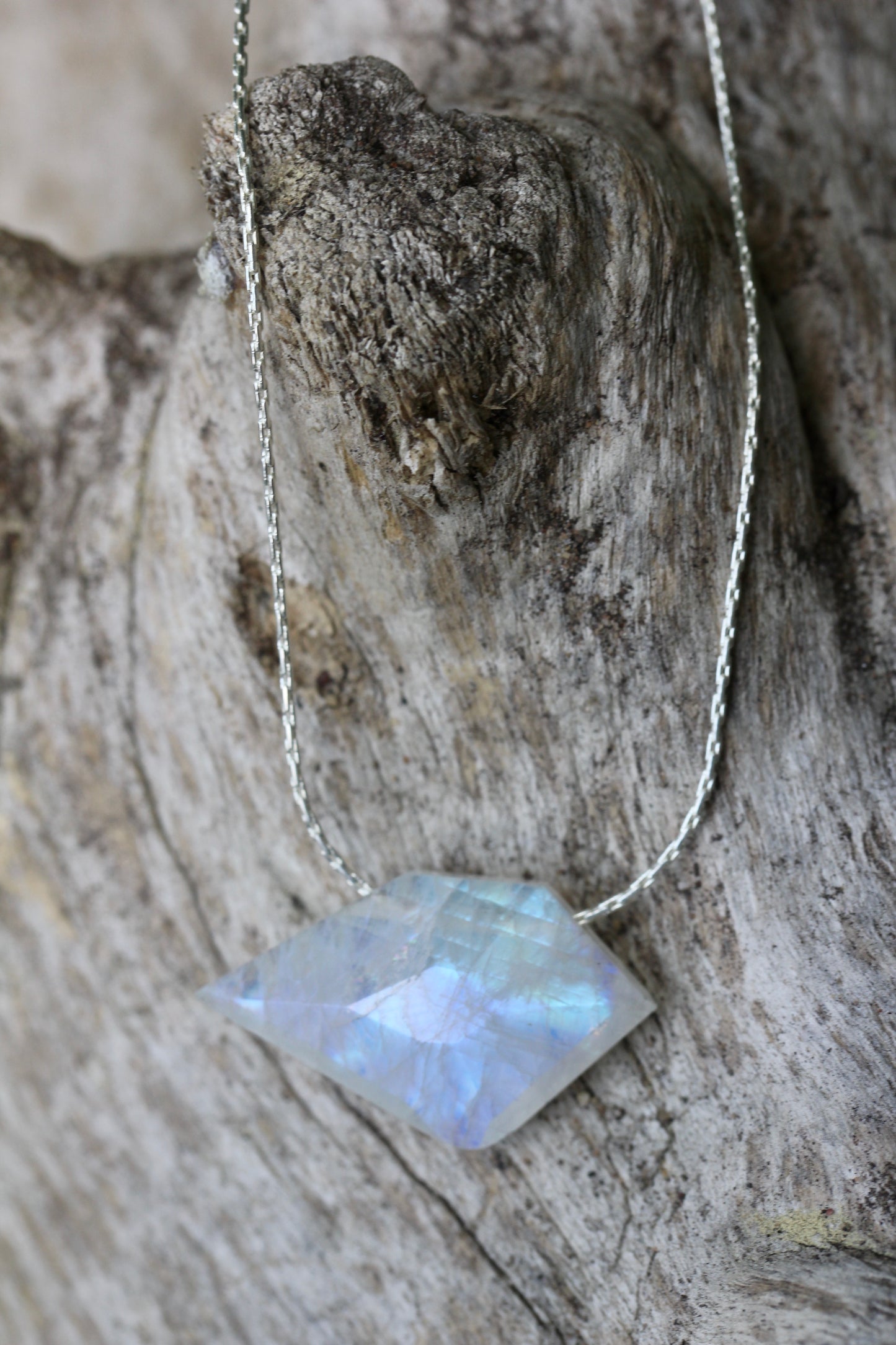 Rainbow Moonstone Sparrow Silver Necklace