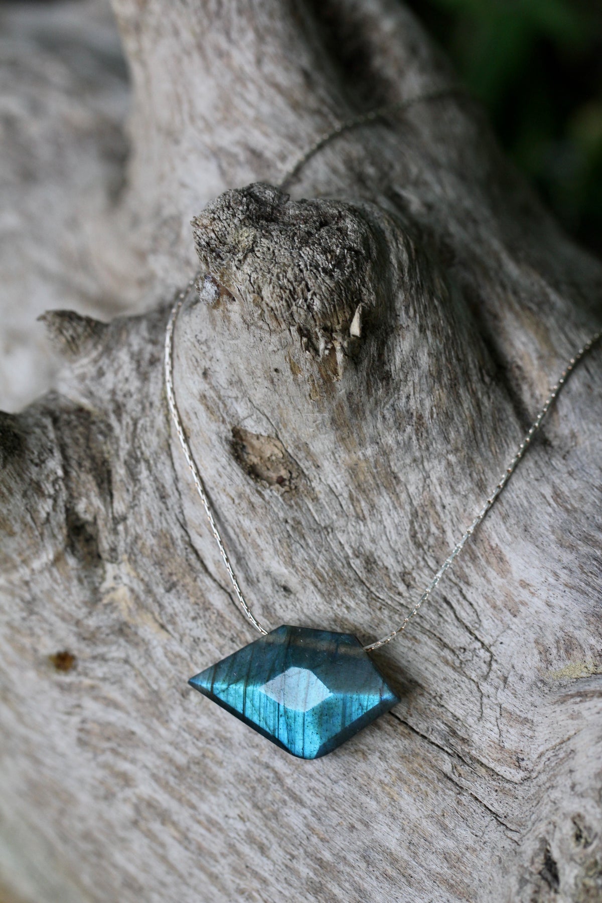 Labradorite Sparrow Silver Necklace