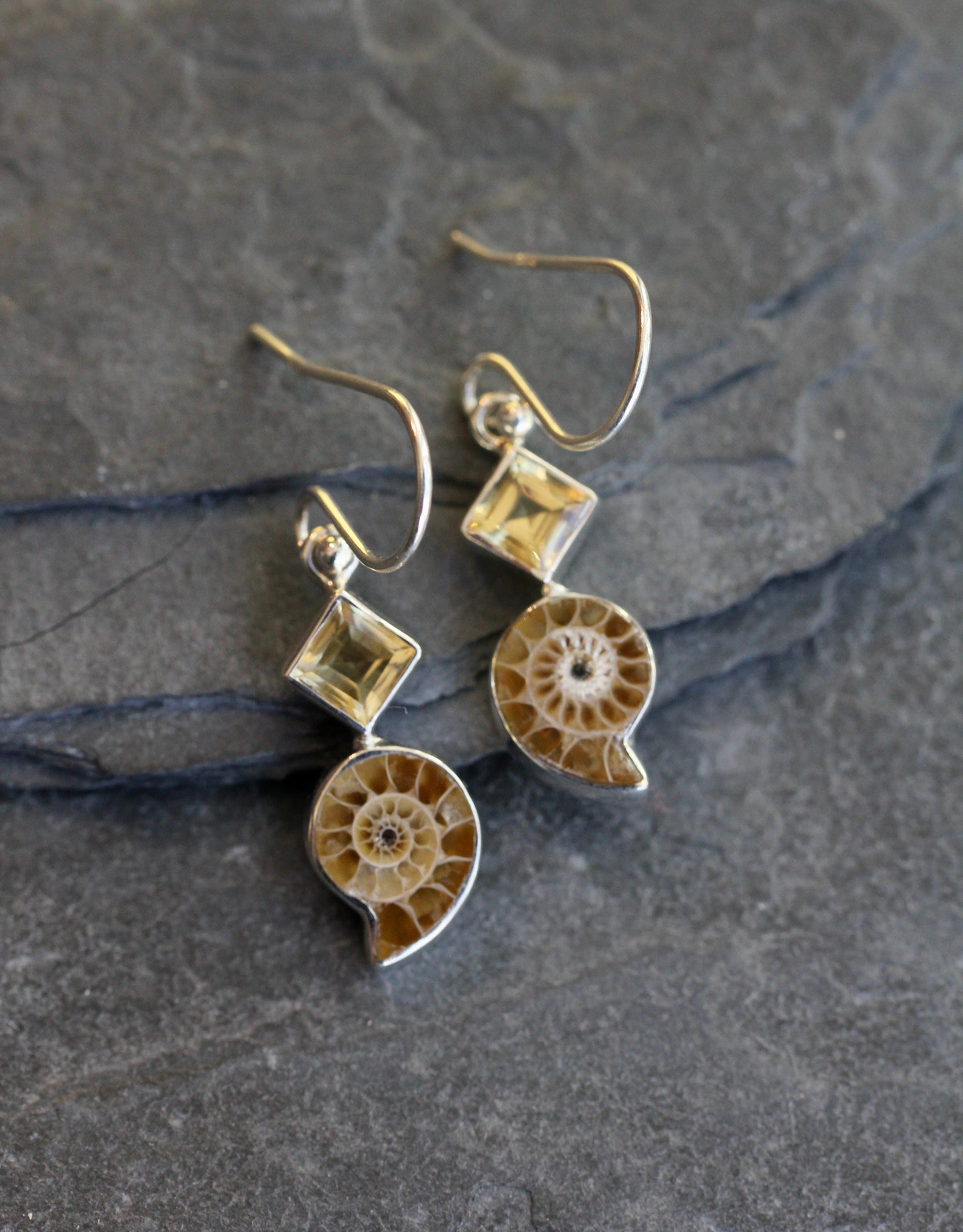 Ammonite Fossil Citrine Earrings