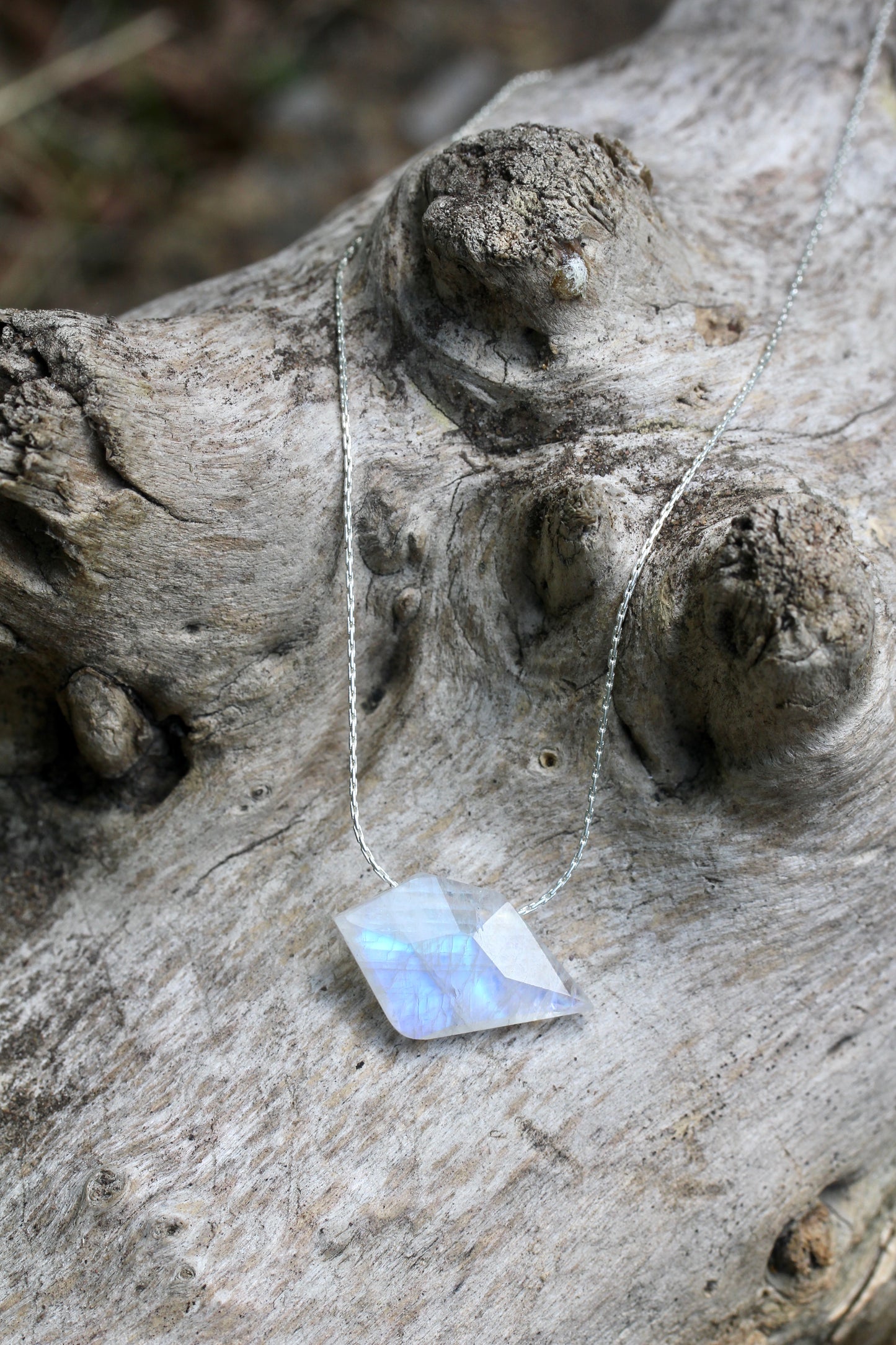 Rainbow Moonstone Sparrow Silver Necklace