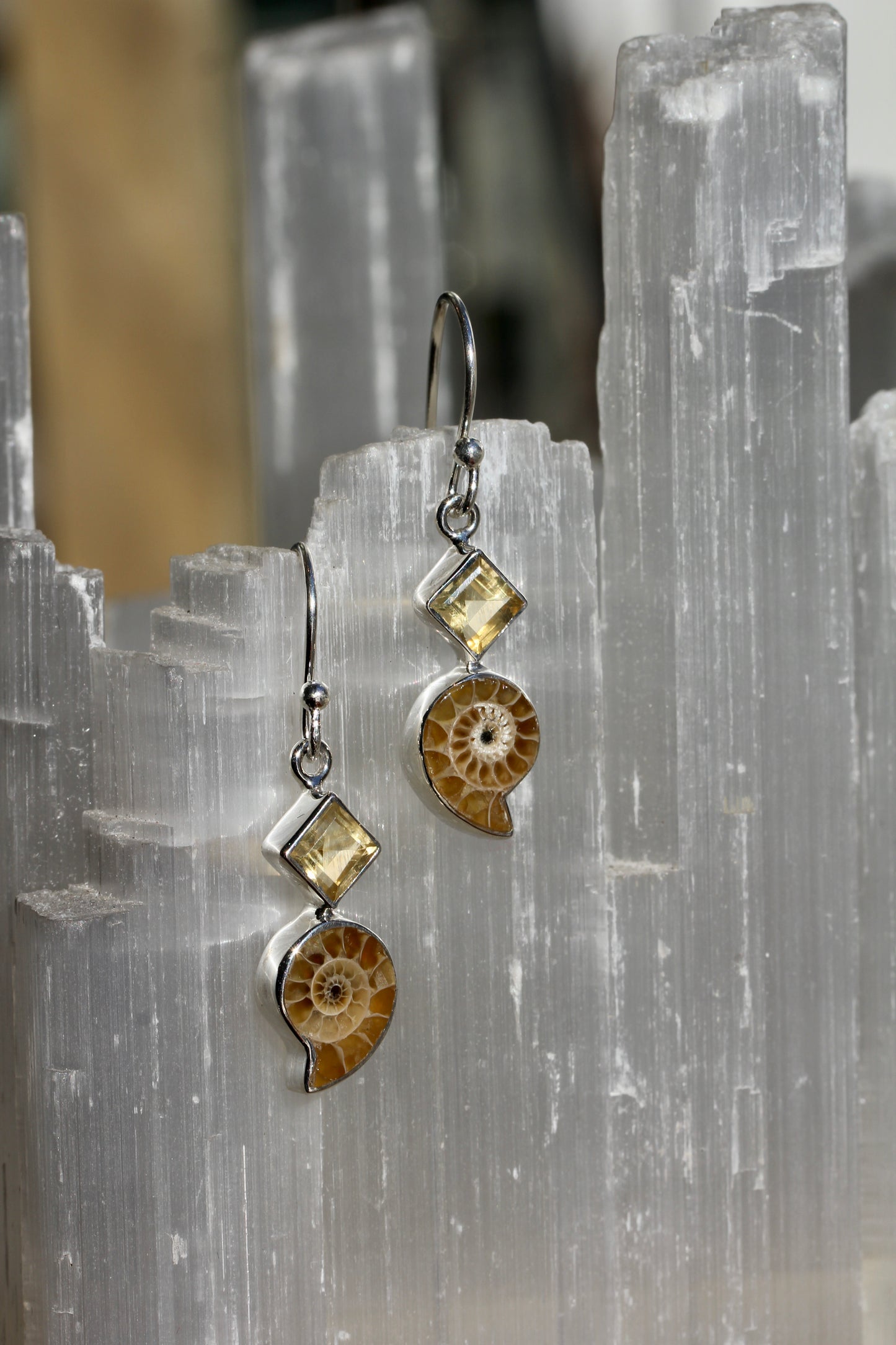 Ammonite Fossil Citrine Earrings