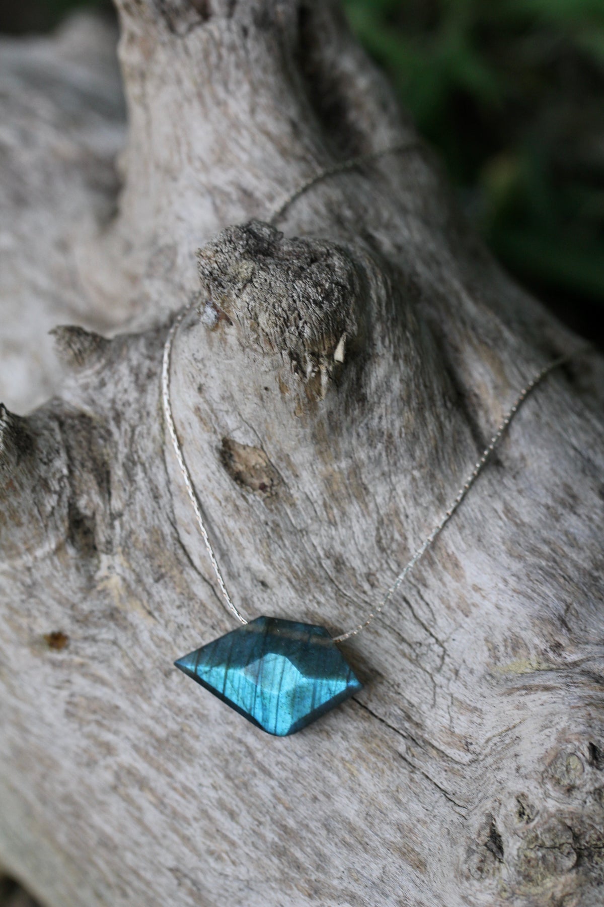 Labradorite Sparrow Silver Necklace