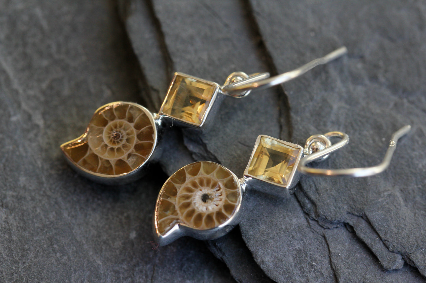 Ammonite Fossil Citrine Earrings