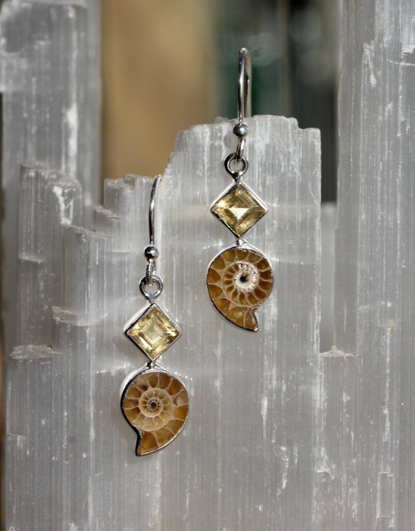 Ammonite Fossil Citrine Earrings