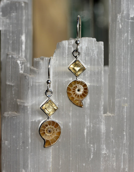 Ammonite Fossil Citrine Earrings