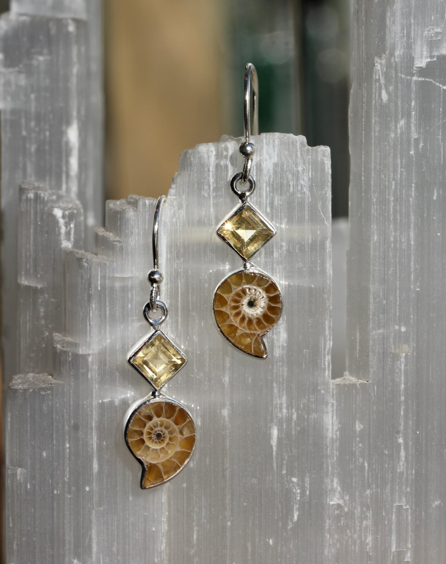 Ammonite Fossil Citrine Earrings