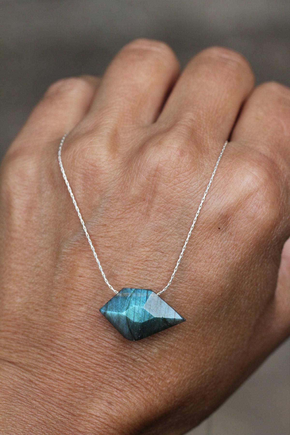 Labradorite Sparrow Silver Necklace