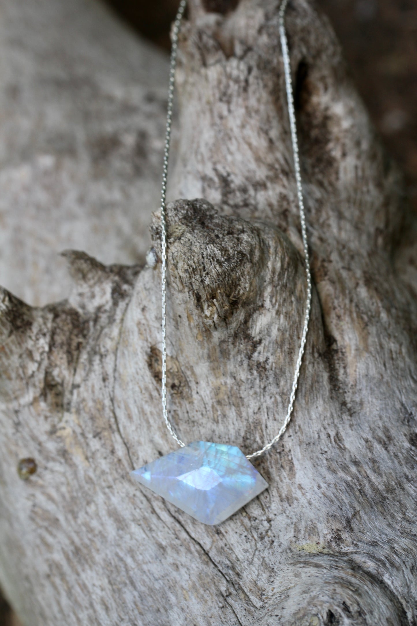Rainbow Moonstone Sparrow Silver Necklace