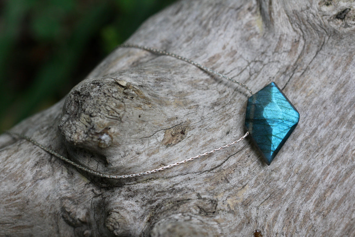 Labradorite Sparrow Silver Necklace