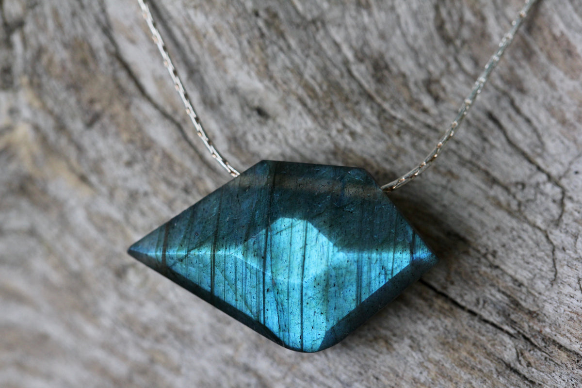 Labradorite Sparrow Silver Necklace