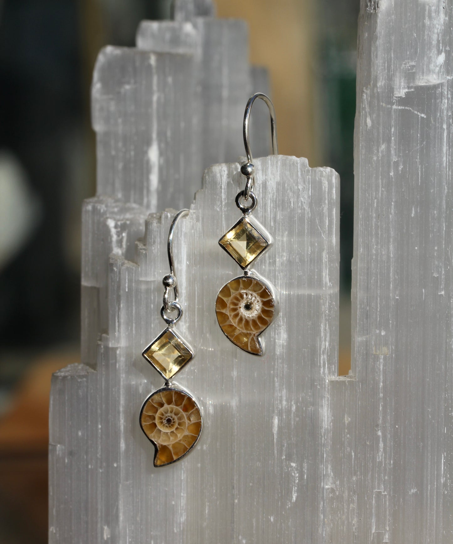 Ammonite Fossil Citrine Earrings