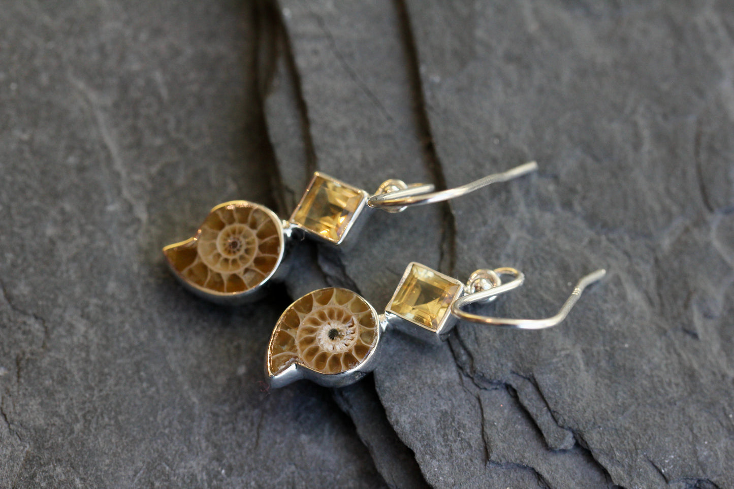 Ammonite Fossil Citrine Earrings