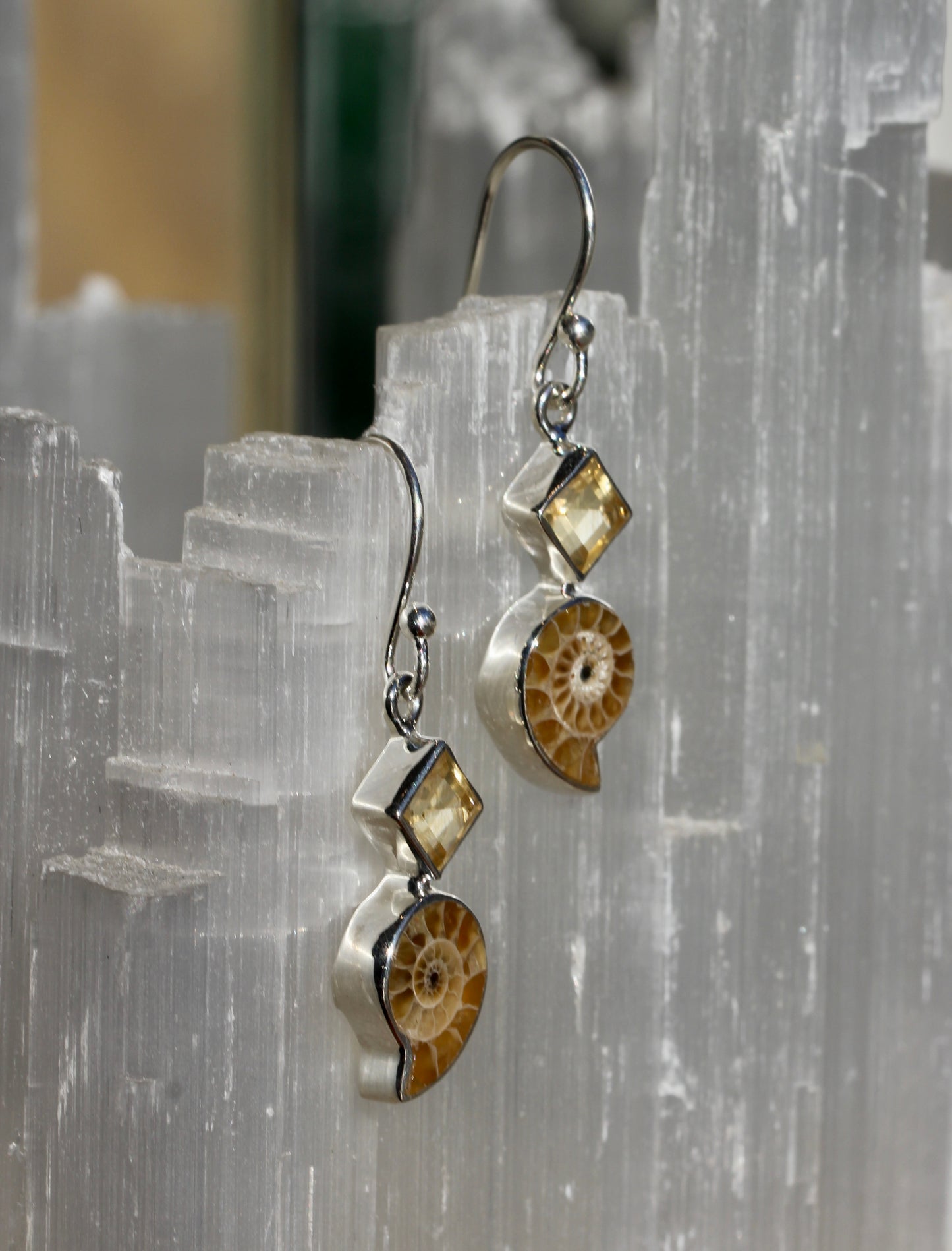 Ammonite Fossil Citrine Earrings