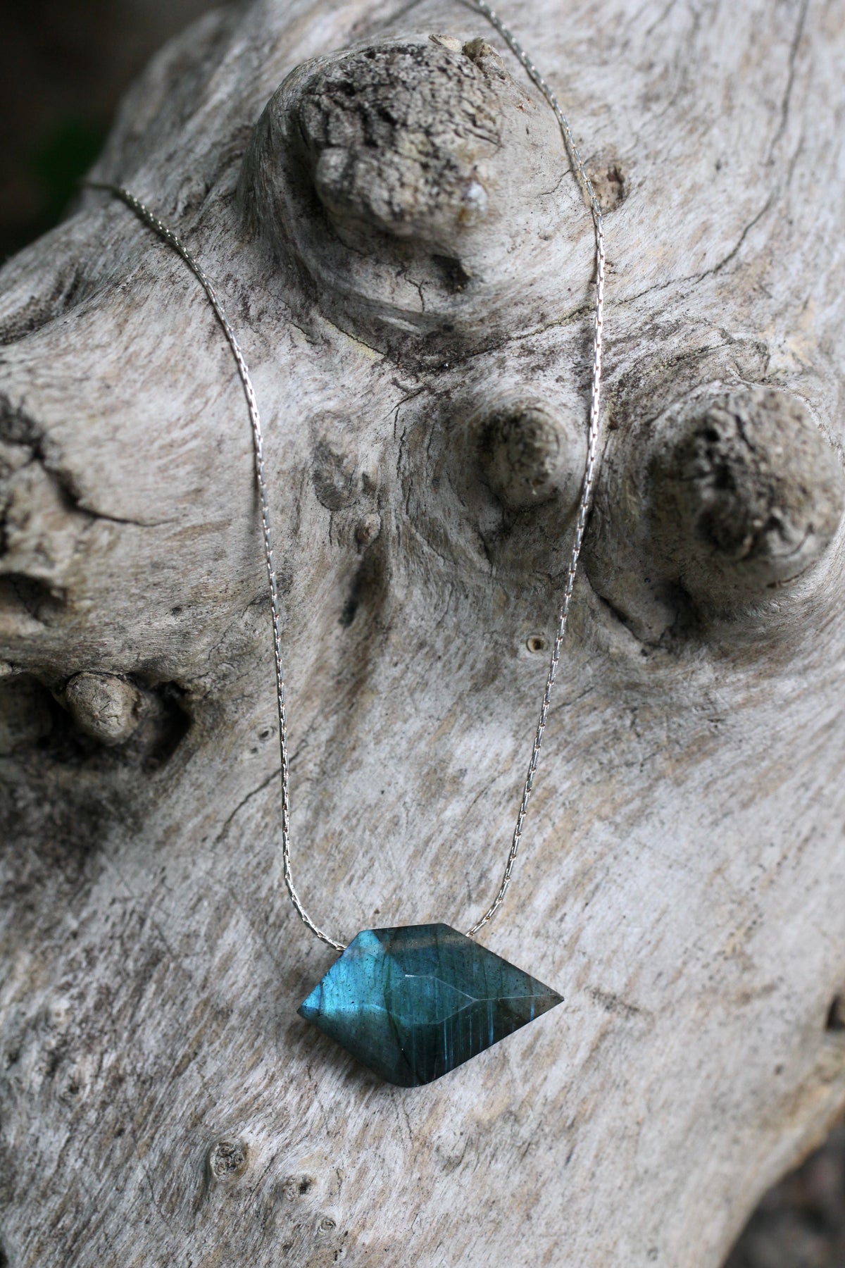 Labradorite Sparrow Silver Necklace