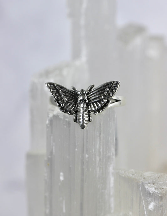 Silver Moth Ring