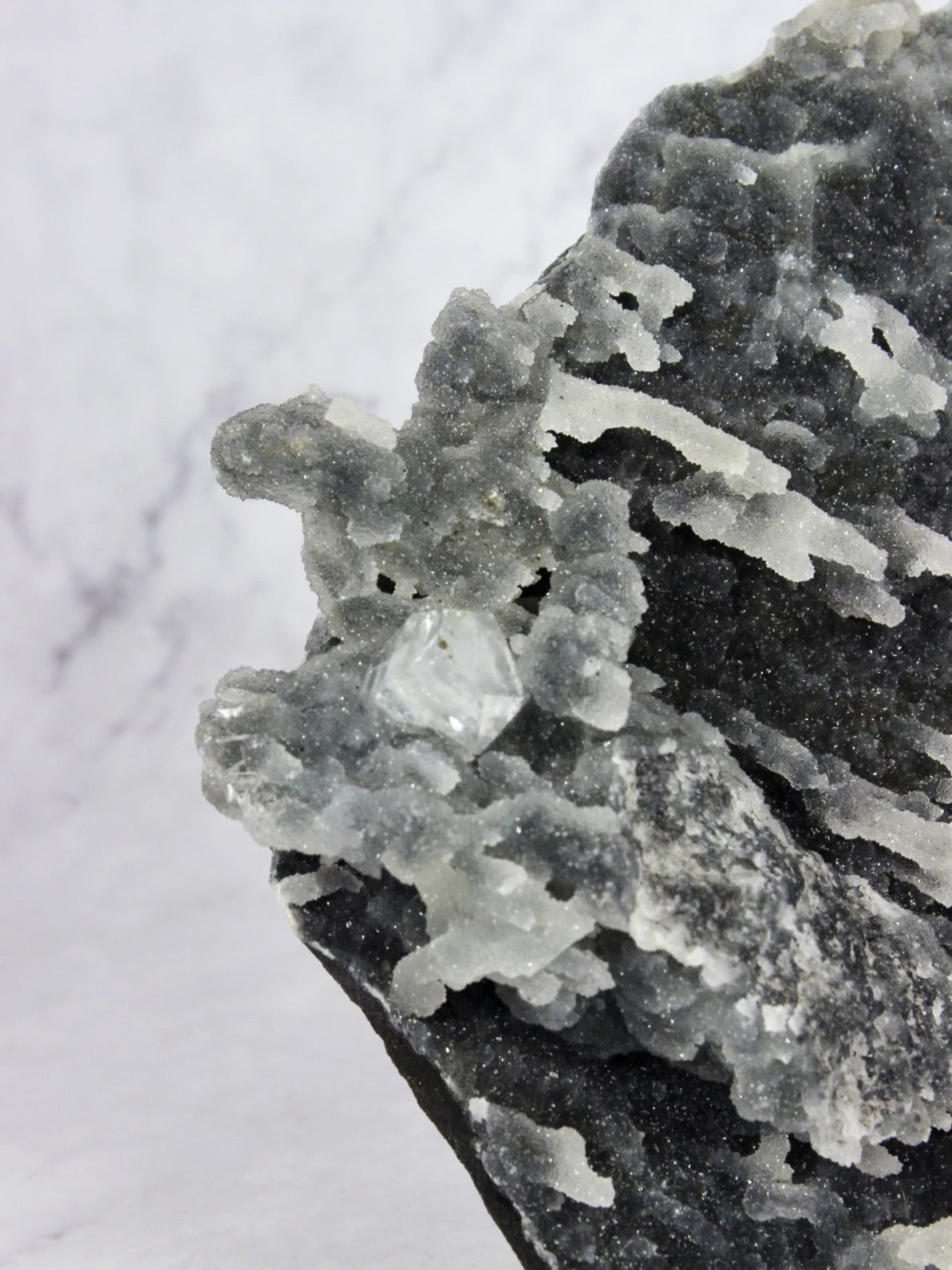 Apophyllite on Druzy Black Chalcedony