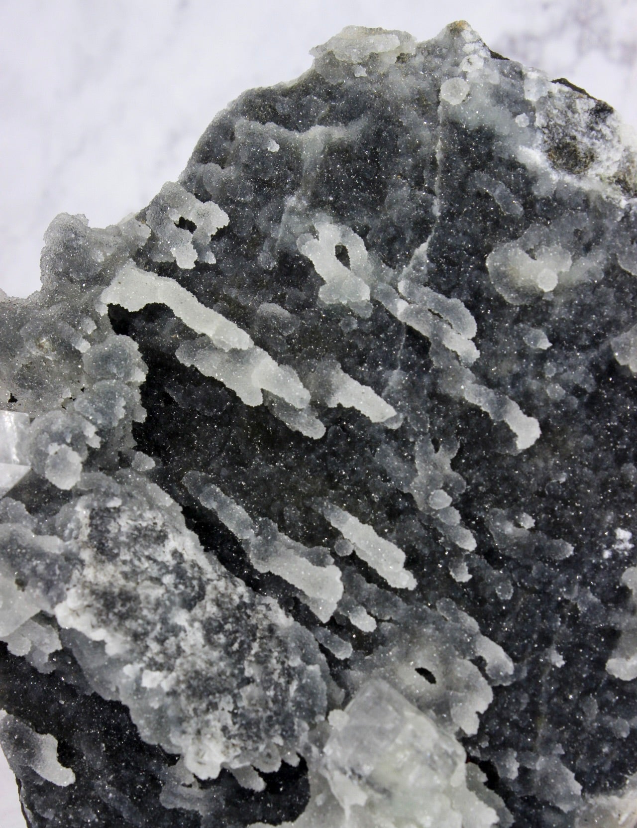 Apophyllite on Druzy Black Chalcedony