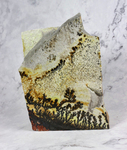 Angular Dendritic Quartzite