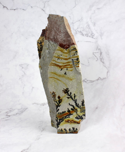 Tall Dendritic Quartzite