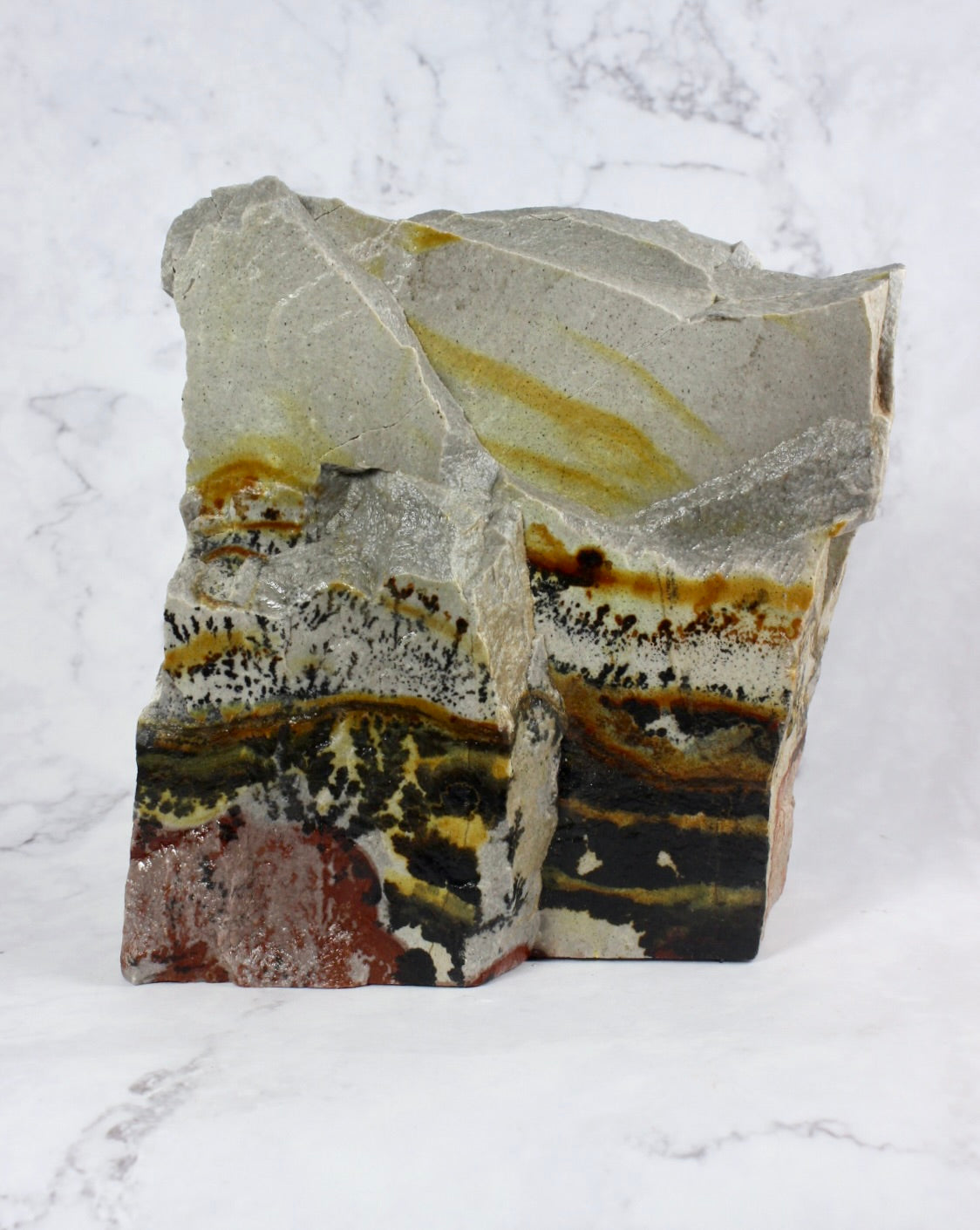 Dendritic Quartzite