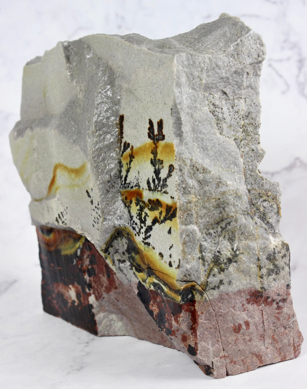 Dendritic Quartzite