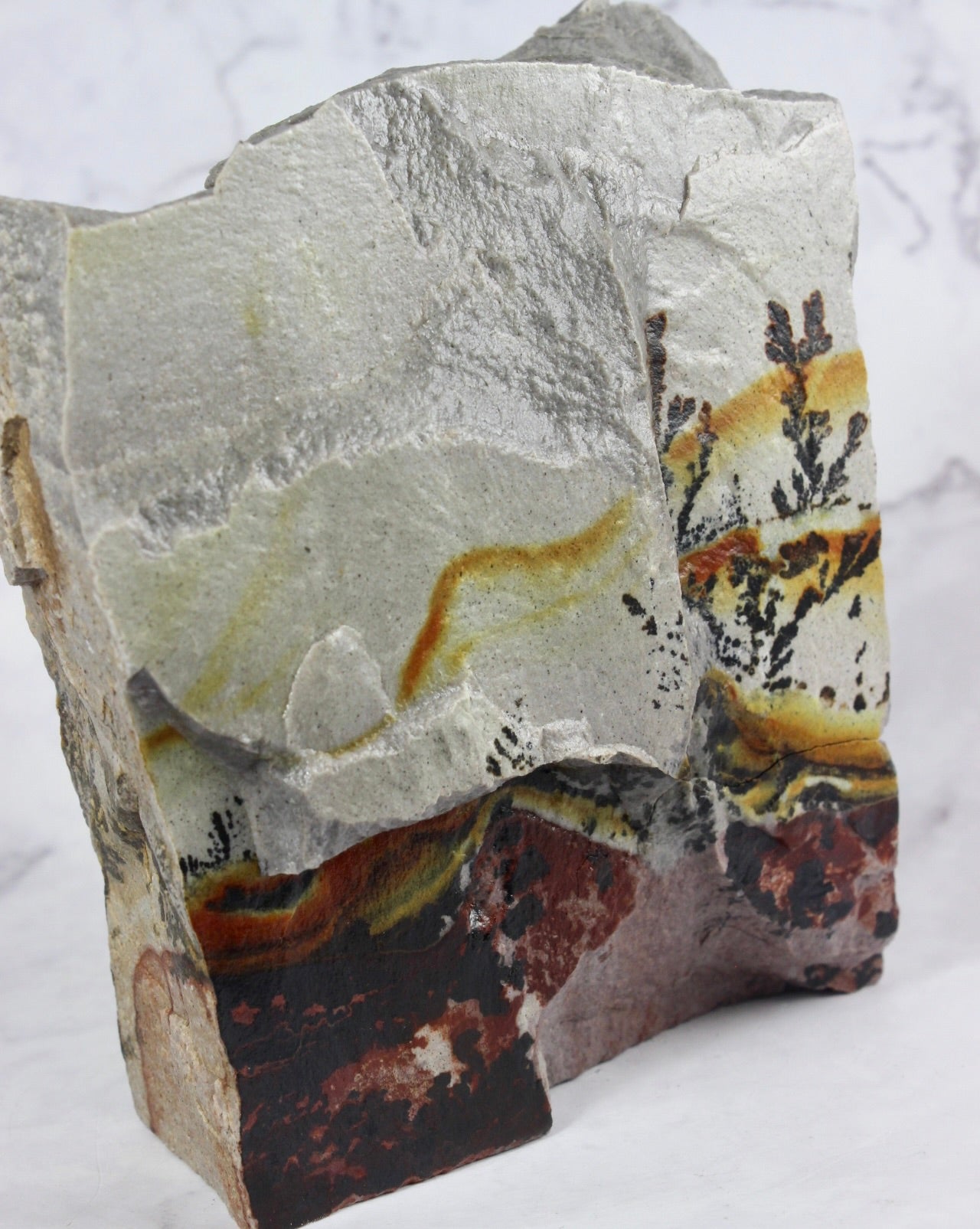 Dendritic Quartzite