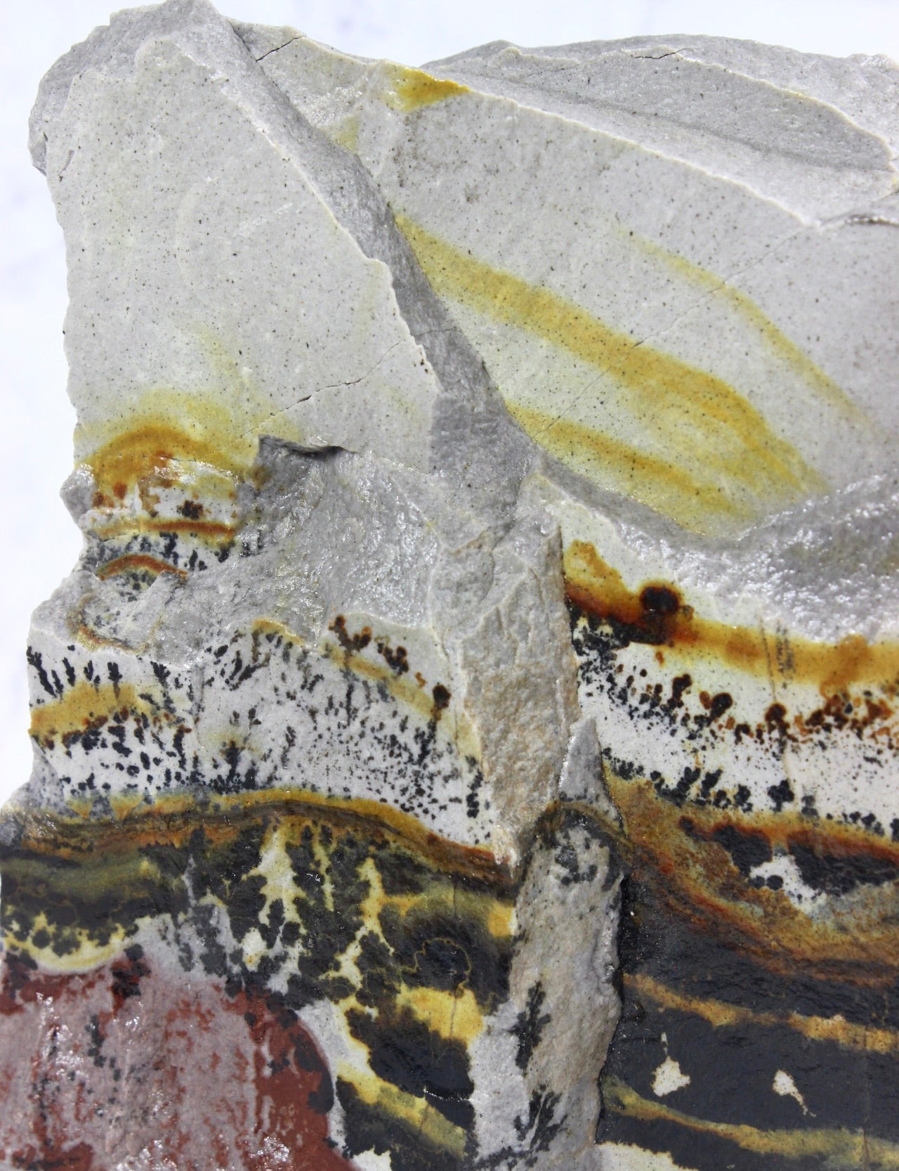 Dendritic Quartzite