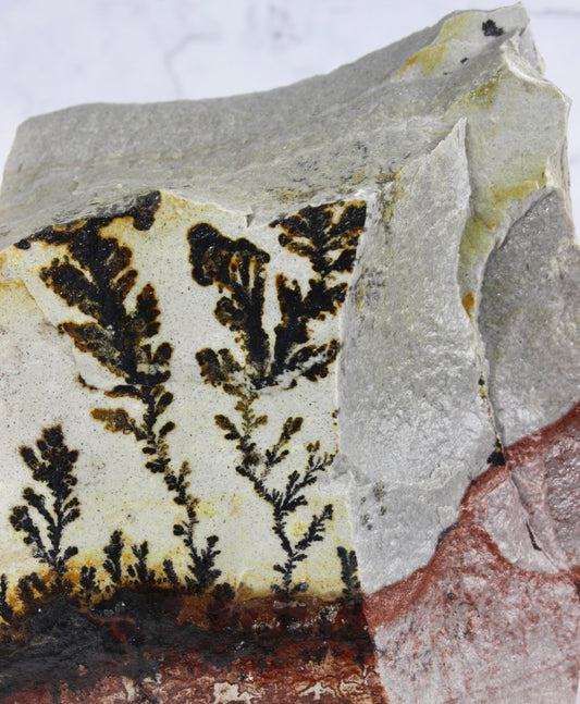 Chunky Dendritic Quartzite