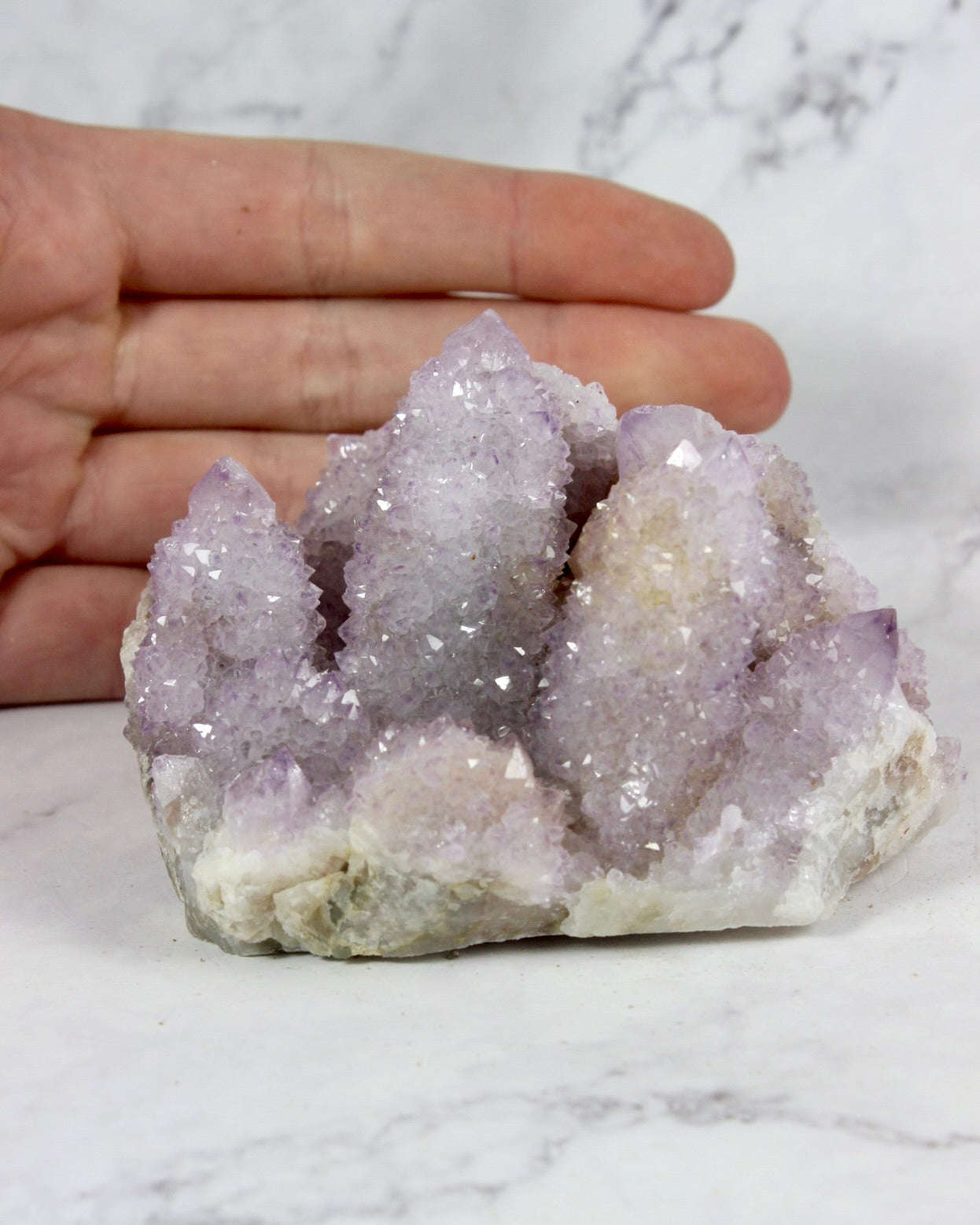 Cactus Amethyst Specimens