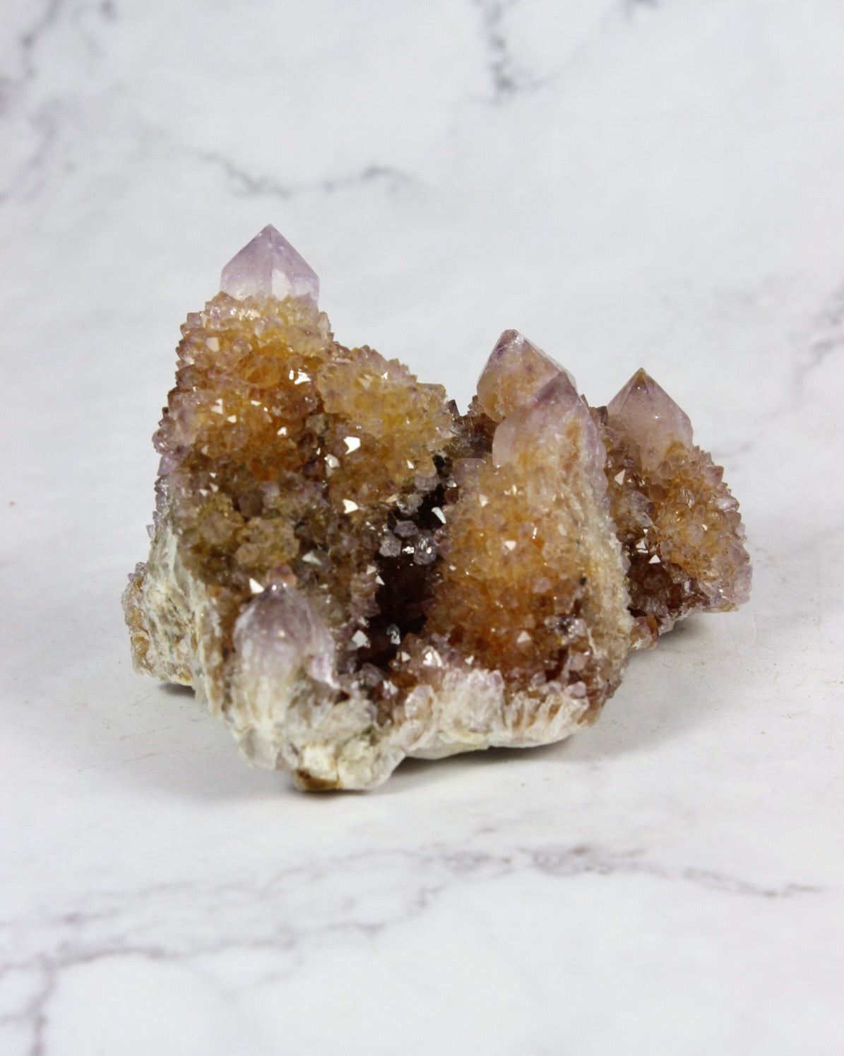 Cactus Amethyst Specimens
