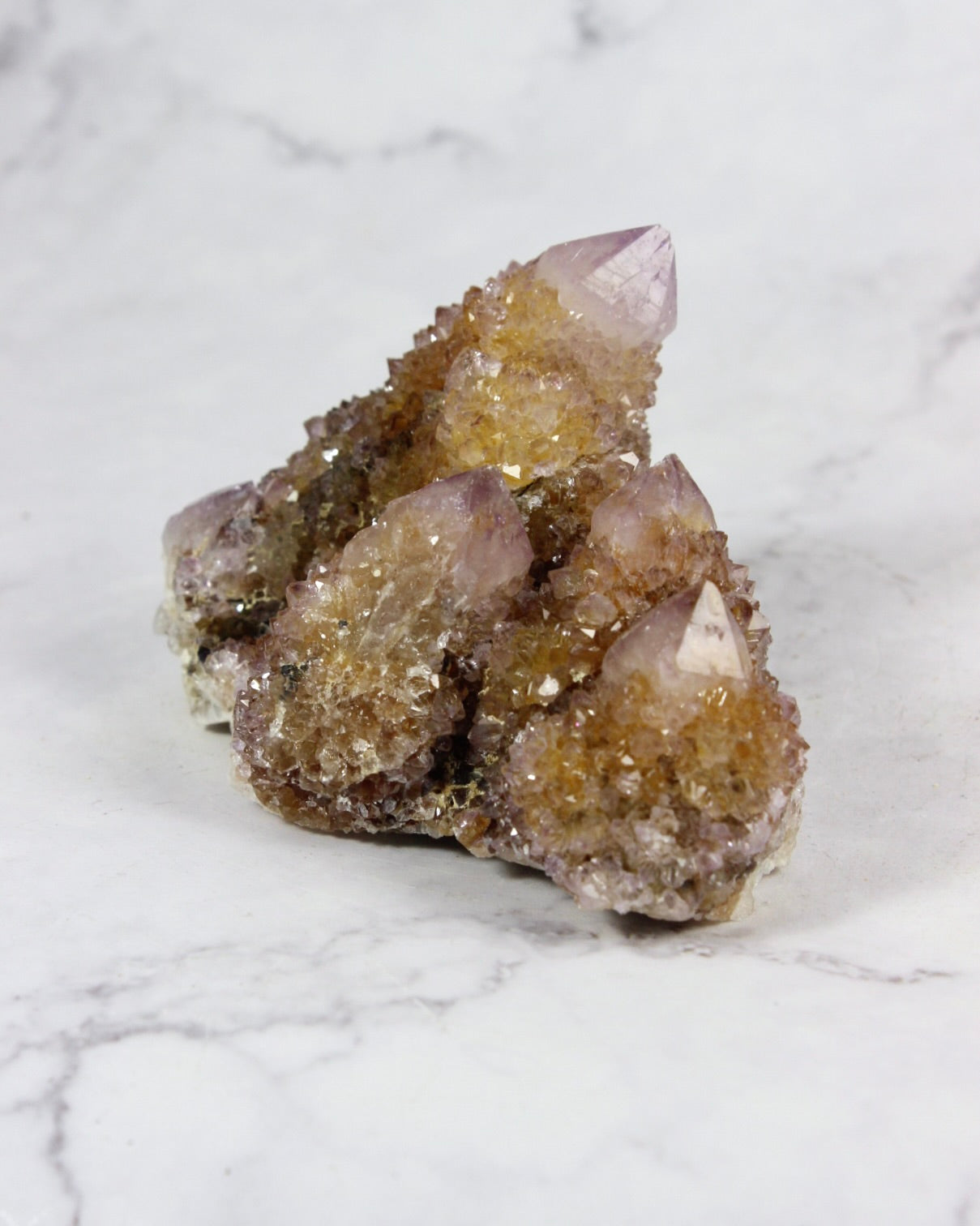 Cactus Amethyst Specimens