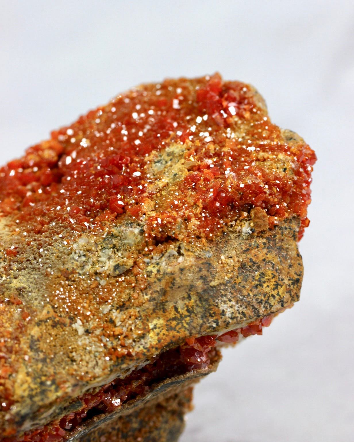 Vanadinite Druzy Specimen