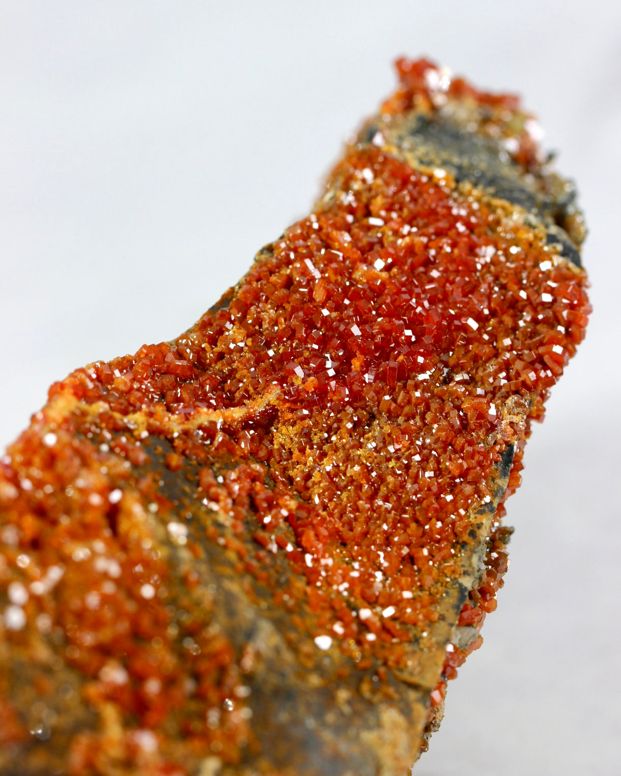 Vanadinite Druzy Specimen