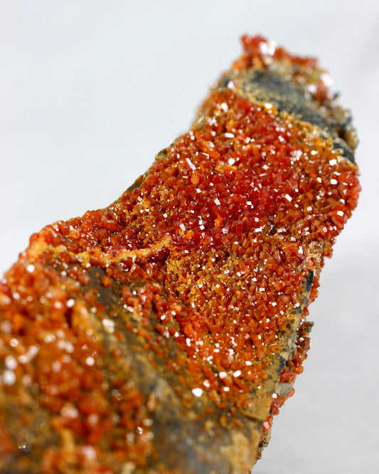 Vanadinite Druzy Specimen