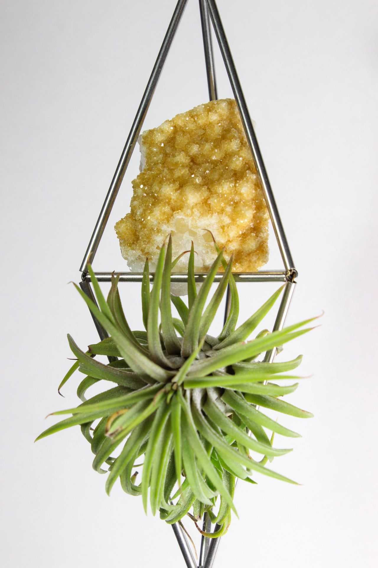 Citrine Stained Glass Sun Catcher Ornament with Airplant